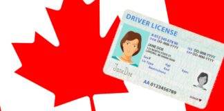 Canadian Driving Licence Graphic