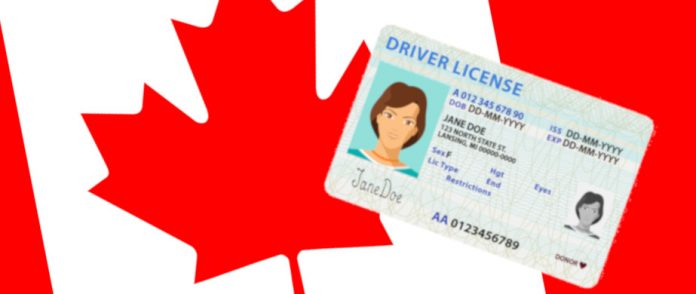 Canadian Driving Licence Graphic