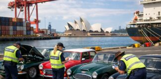 Australia’s 25-Year Import Rule: A Classic Car Shipping Guide Australian Customs performing biosecurity checks on a shipment of classic cars at a shipping port in Sydney.