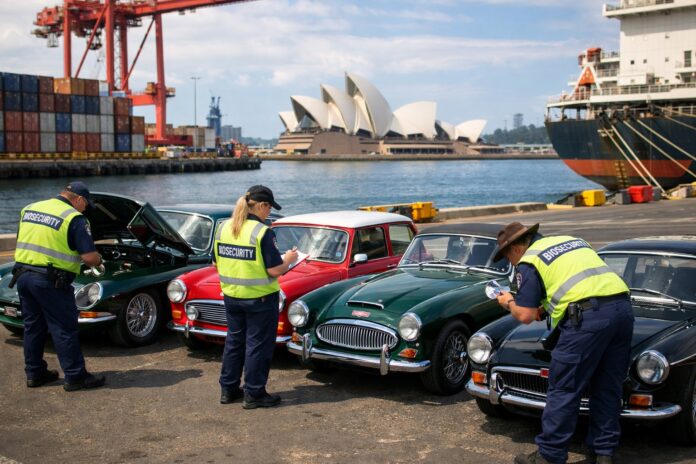 Australian Customs performing biosecurity checks on a shipment of classic cars at a shipping port in Sydney.