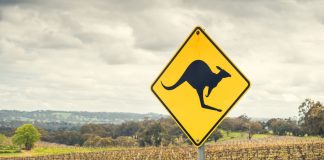 Kangaroo road sign in Australia