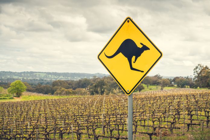 Kangaroo road sign in Australia