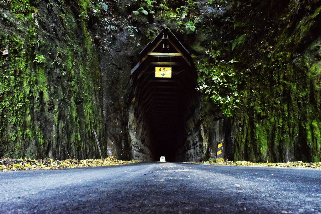 The Forgotten World Highway - The Best Road Trips in New Zealand - Ship Your Car to New Zealand