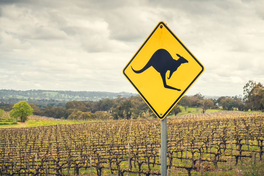 Kangaroo Road Sign - Driving in Australia