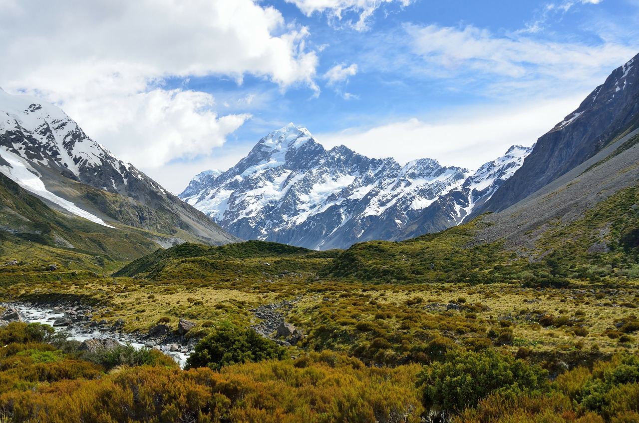 New Zealand Countryside