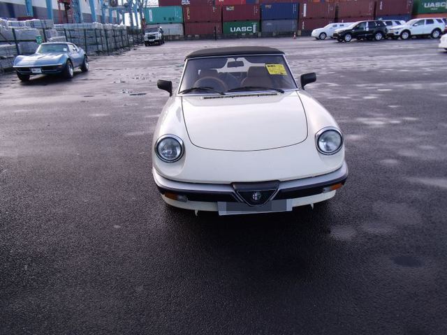 Alfa Romeo Spider