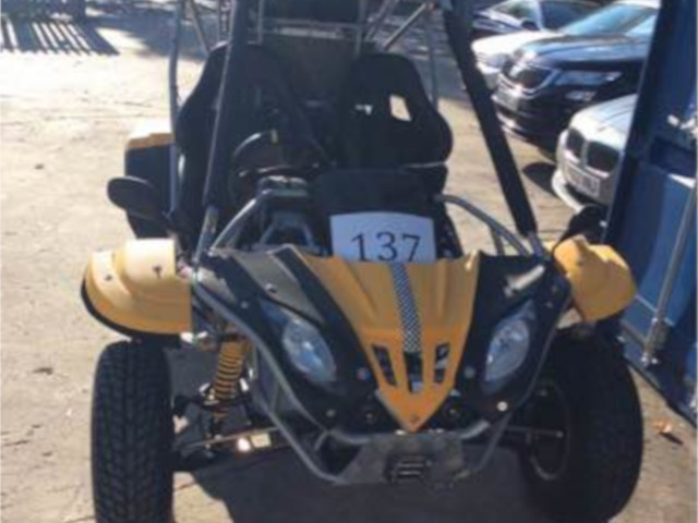 Go-Kart Quadzilla DF500