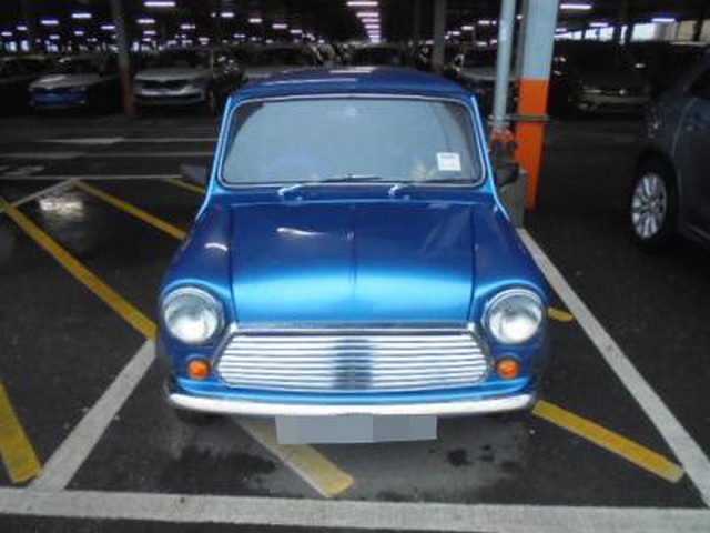 Rover Mini