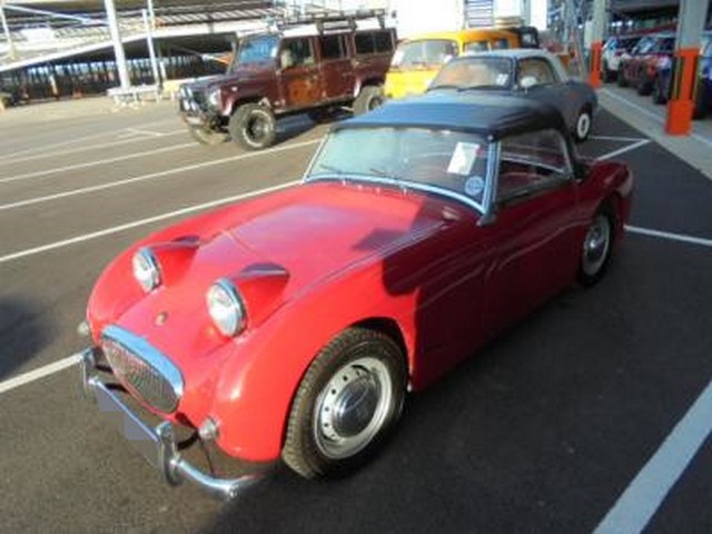 Austin Healey Sprite