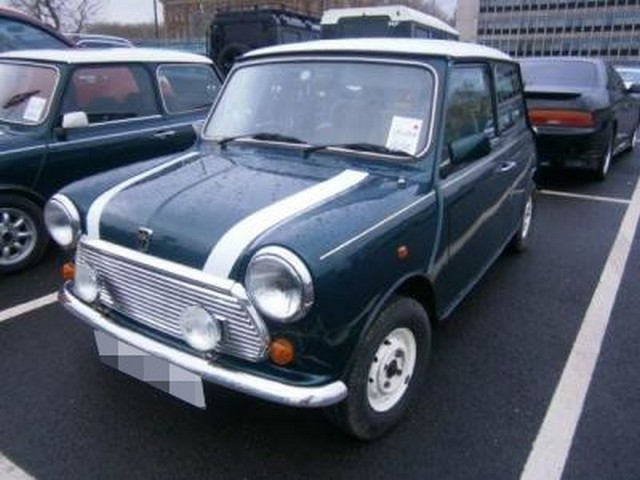 Rover Mini