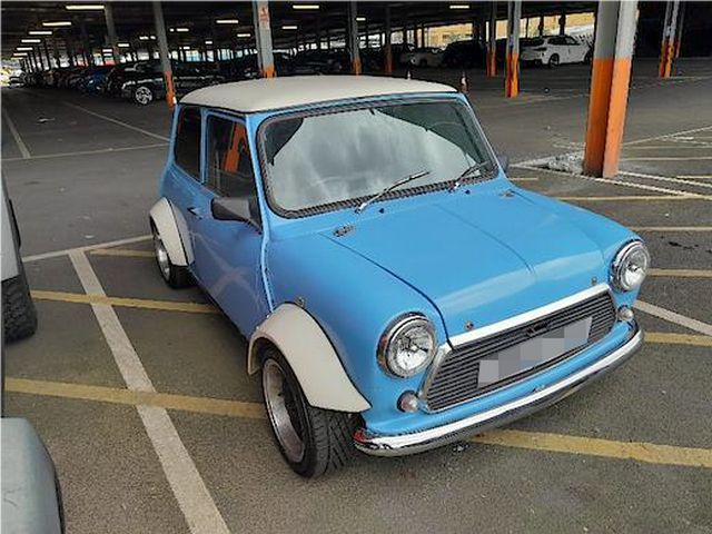 Rover Mini