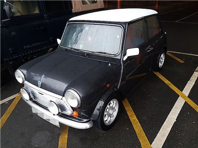 Rover Mini