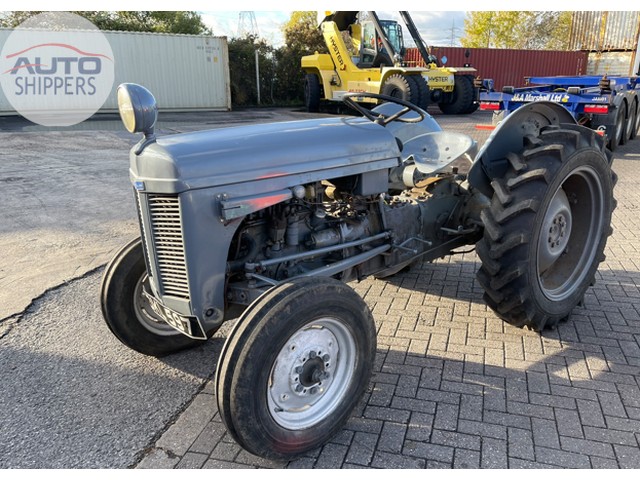 Massey Ferguson TE20, Container - New Zealand